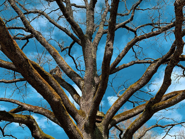 '부산합판목재' 웹사이트 개발